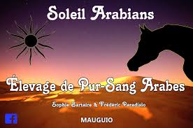 Partenaire