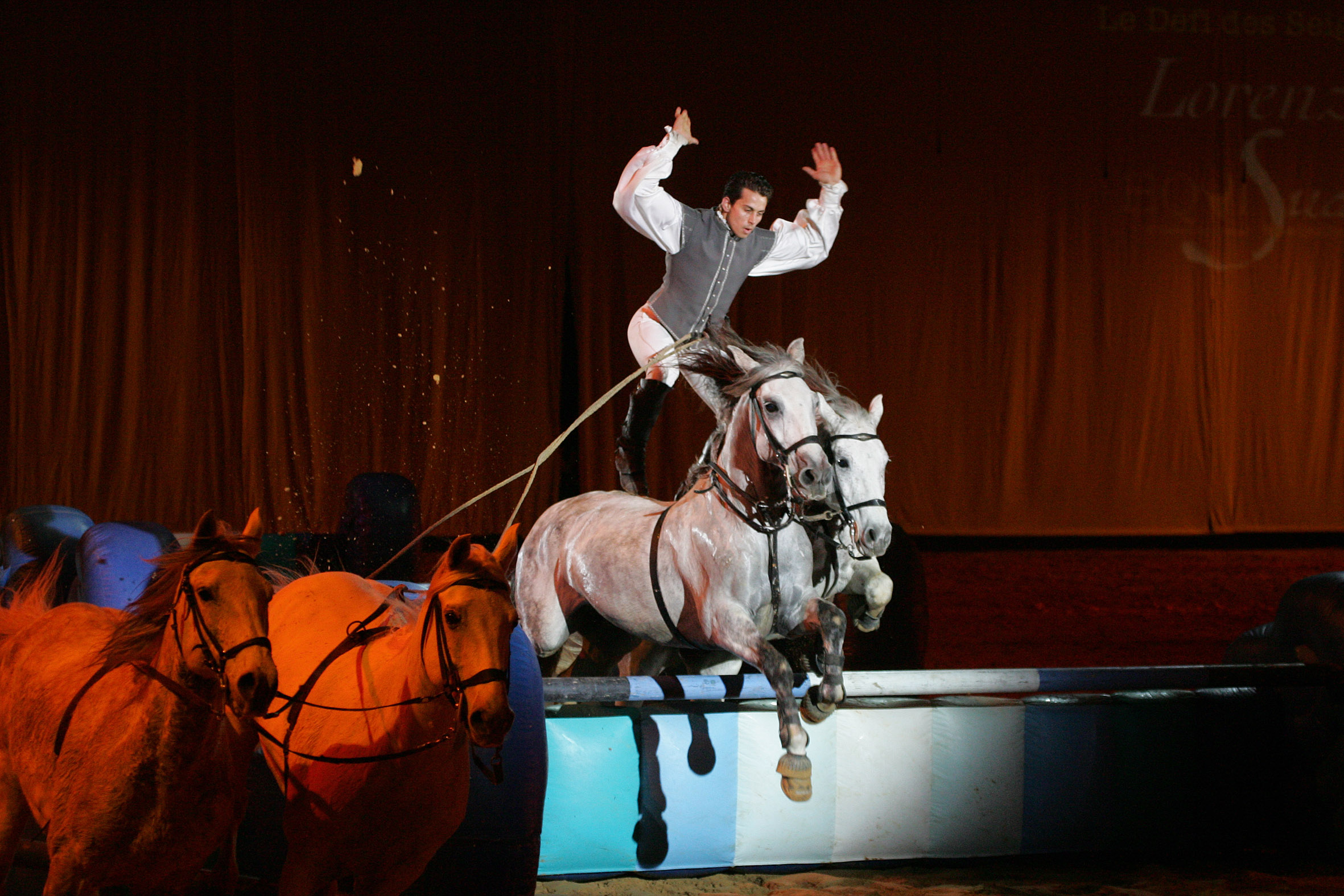 Équisud 2006