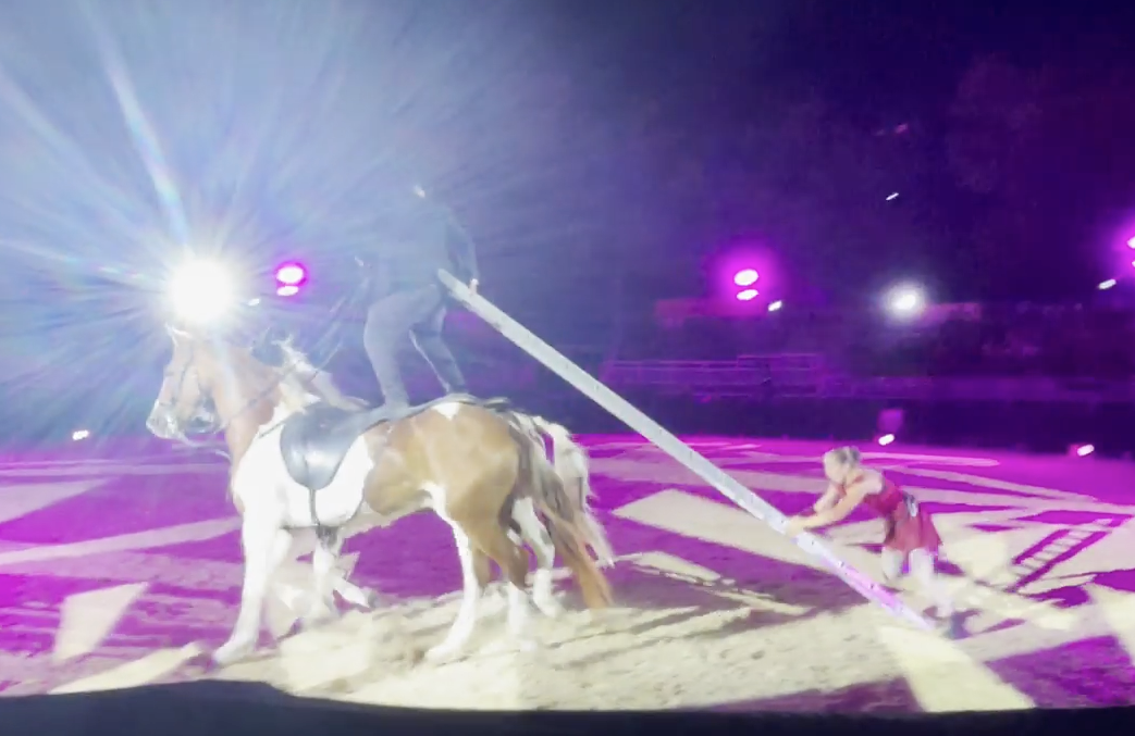 Vidéo spectacle équestre