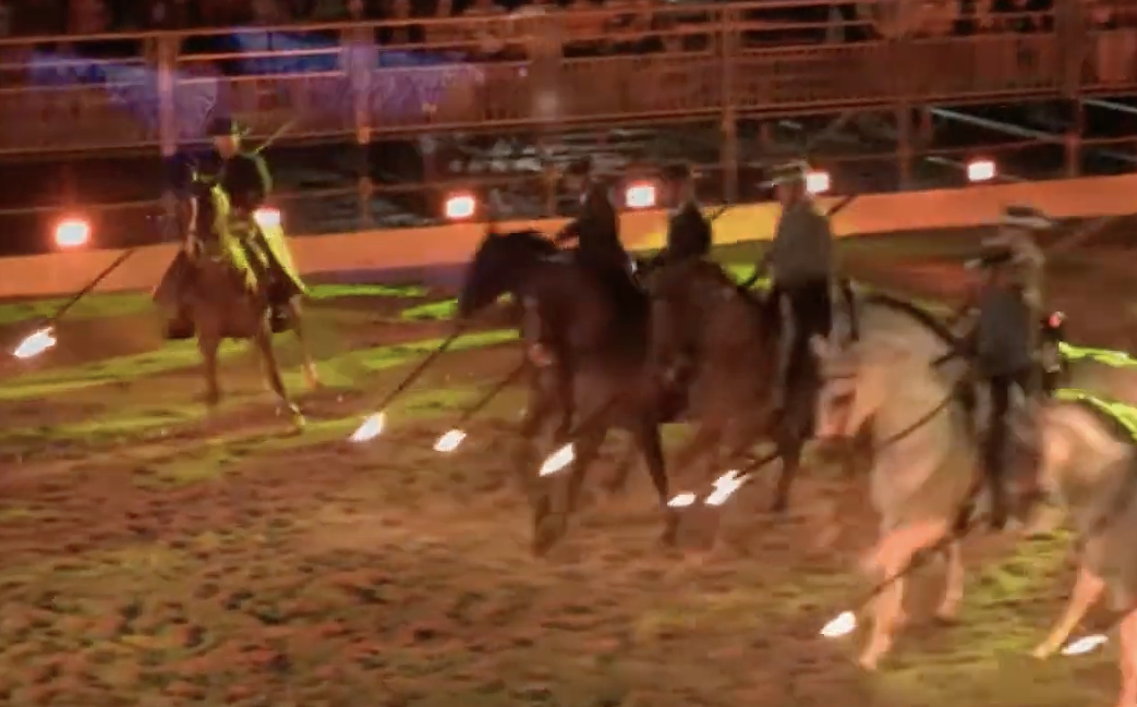Vidéo spectacle équestre